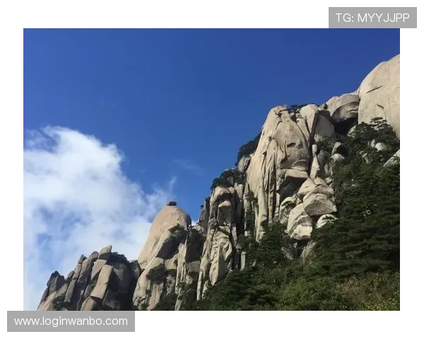 万博官方manbext网页登录实现快速登录减少等待时间保障用户体验