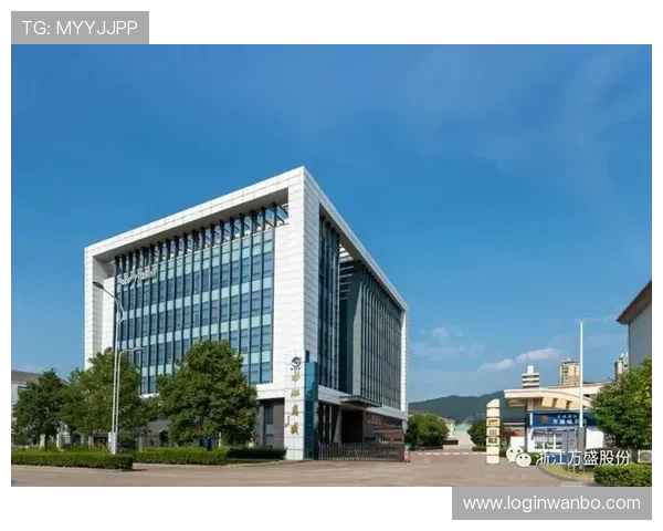 万博官方合作伙伴助力游戏行业发展实现共赢的战略合作方案